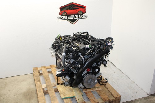2021 2024 bmw - 2021-2024,